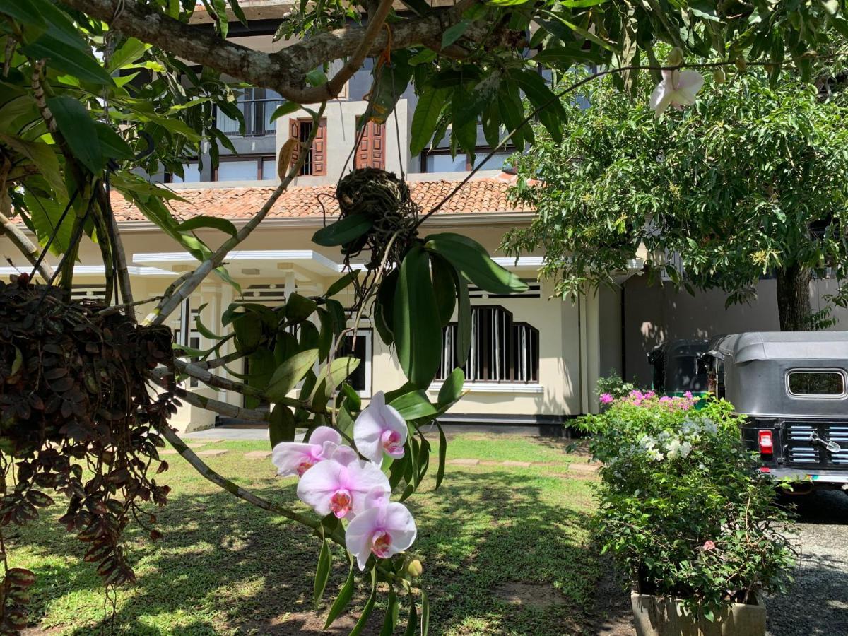 Handagedara Resort Mirissa Bagian luar foto